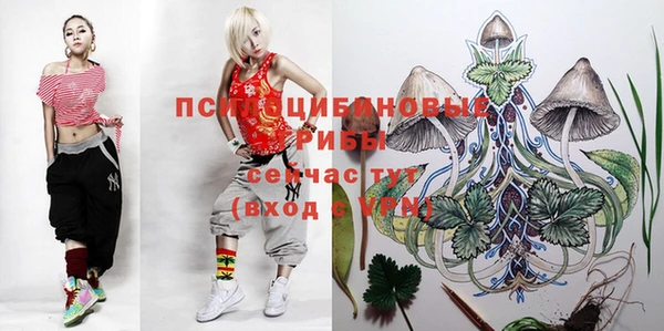 спайс Белоозёрский